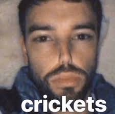 Crickets One Direction Memes Reactions Meme Stupid Memes