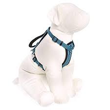 kong comfort padded harness blue medium