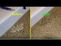 It should be about 2/3 vinegar to 1/3 warm water (just enough to dilute the vinegar). How To Get Slime Out Of Carpet Easy Simple Quick Youtube