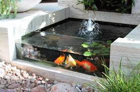 Sebagai contoh dengan mengisi ikan jenis koi pada kolam tersebut. Kolam Ikan Minimalis Di Halaman Rumah Dengan Desain Terbaik