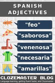 When an adjective describes a noun, we can omit the noun and allow the adjective to serve its purpose. Spanish Adjectives And Agreement