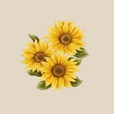 Download sunflower oil images and photos. Sunflower Highlight Drawing Course Flower Crown Drawing Realistic Eye Drawing