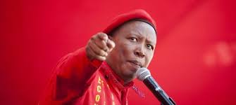 Entertaining and controversial, eff leader julius malema caused a stir in the national assembly on wednesday as he made his. Npa Free And Required By Law To Resume Prosecution Of Julius Malema Sakeliga Sakeliga