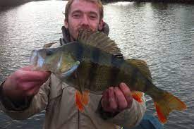 Les plus grande perches du monde. Une Premiere Sortie Sandre Qui Se Solde Par La Prise D Une Perche Record