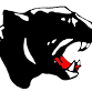 BHAHS Boys Varsity Basketball @ Schuylkill Valley event in Leesport, PA