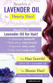 Lavender oil is versatile, and there are many ways you can use it on your hair. Find Out What Are The Top 7 Lavender Oil Benefits On Your Health Lavender Oil For Hair Hair Oil Coconut Oil Hair