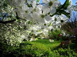 Vremea în luna mai aduce in mod obisnuit debutul sezonului convectiv si implicit o crestere a cantitatilor de precipitatii in comparatie cu luna aprilie. Meteo 10 31 Mai 2021 Cum Va Fi Vremea SchimbÄri Mari De TemperaturÄ ToatÄ Luna Impact