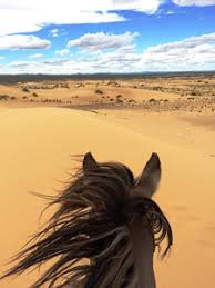 The bactrian camels of mongolia are native to central asia. Wilderness Rides Horseback Riding Vacations