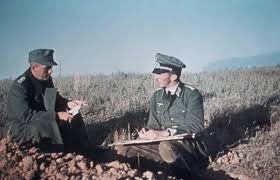 They are regulated by the presidential order on rank designation and military uniform. Feldgrau Wikipedia