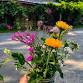 Queer & Trans Affinity Group event in Easthampton, MA