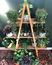 Eloisa Gallo (elogallo91)