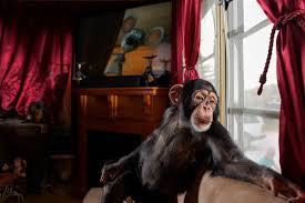 This can be used for animals, supplies or both. Exotic Pet Trade Explained