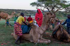 Em um rio que percorre grande parte de seu comprimento em um vale de lados íngremes, chuvas repentinas podem fazer com que o nível da água suba rapidamente e, embora as enchentes não sejam incomuns no camel, a enchente. Walking For Peace Camel Caravan In Northern Kenya Conciliation Resources