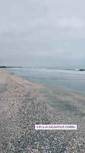 Acces la bucatarie, ferma proprie, foisor in curte, gradina/curte, gratar/barbeque, internet wireless, parcare, rau in curte, sala de mese, se accepta animale, terasa, tv in living. Salutare De La Plaja Corbu Incepem Casa De La Corbu