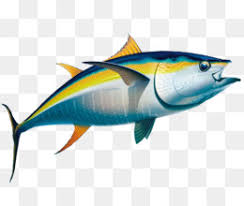 Cartoon Fish Png Cartoon Fish Cartoon Fishing Cute Cartoon Fish Happy Cartoon Fish Simple Cartoon Fish Cartoon Fish Laughing Cartoon Fish Bowl Cartoon Fish Fry Cartoon Fish Kissing Smiling Cartoon Fish Weird fish tallahassee printed cotton jersey dress clothing ralph lauren corporation wrap dress, personalized fashion png clipart.