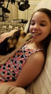 Leia(left) and Heartlee (right). Leia is hearing ￼impaired, so it was  really fun to help my parents teach the doggos modified sign language!