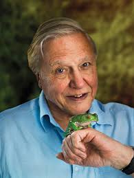 Sir David Attenborough at 90: the mesmerising storyteller of the natural  world | News portal | University of Salford, Manchester
