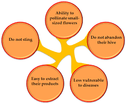 3.1 types of stingless bee honey samples. Biomolecules Free Full Text Antioxidant Based Medicinal Properties Of Stingless Bee Products Recent Progress And Future Directions