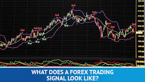 Use signal centre to discover trade ideas. Are Free Forex Signals Reliable Trading Education