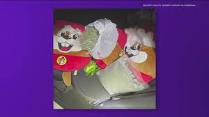 Deputies find more than 2 pounds of marijuana inside Buc-ees stuffed  animals