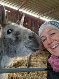 The Lions Club of Guernsey are pleased to bring back The Donkey Derby after  a three year break due to COVID. The event takes place