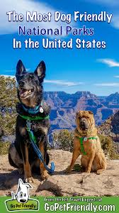 They make our social media much more morris frank from tennessee and his german shepherd that he brought back from a trip to switzerland introduced the concept of seeing eye dog to the usa. The Most Pet Friendly National Parks In The U S Gopetfriendly Com
