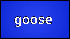 Pasttenses is best for checking hindi translation of english terms. Goose Meaning Youtube