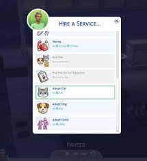 The agency will show up with the three, so you can greet them and get to know them a little. The Sims 4 How To Adopt A Cat Or Dog The Girl Who Games