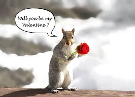 Chipmunks are rodents that resemble squirrels. Valentine S Day Card Will You Be My Valentine Squirrel Etsy Valentine Cute Squirrel Valentines Cards