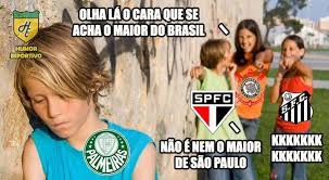 Your daily dose of fun! Os Melhores Memes Da Eliminacao Do Palmeiras Pelo Sao Paulo