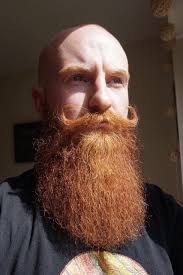 Bearditorium Jamie Ginger Hair Men Bald With Beard Beard Images