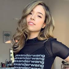This is the developer supported subreddit that is tailored for those who want to keep up to date on the pro scene tournaments competitive plays and. Pokimane Twitch