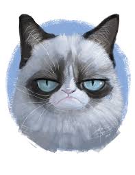 A Quick Drawing Of The Grumpy Cat Grumpy Cat Art Cat Art Grumpy Cat