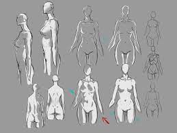 Pin On Anatomy And Figures