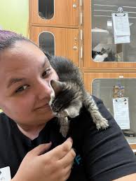 Seeking mentor for breeding savannah cats with experience