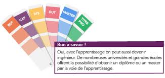 En allemagne le nombre de diplômés universitaires est pourtant assez peu élevé, en comparaison avec la france. Devenir Apprenti Lycee Stanislas