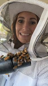 Swarm season' is here: What to do if honey bees arrive at your home