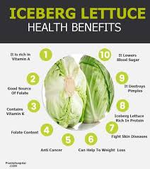 12 Amazing Health Benefits Of Iceberg Lettuce Uses Warnings And More Benefits Of Organic Food Lettuce Benefits Cabbage Benefits