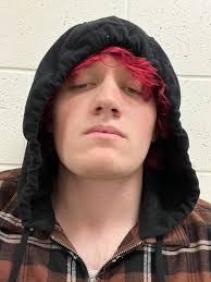 What are some new punk bands to check out?