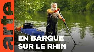 Image result for Tacazzea