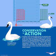 Pin By Meredith Seidl On Fun Animal Facts Fun Facts About Animals Animal Conservation Animal Facts
