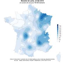 La maladie de lyme est transmise aux humains par la morsure de certains types de tiques qui sont infectées par une bactérie nommée borrelia burgdorferi. La Maladie De Lyme En 10 Questions Inrae Instit