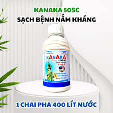 Kanaka 50SC