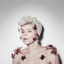 Image result for Robyn 500