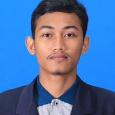 Can biotin binding directly in nitrocellulose paper?