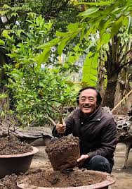 Trong bối cảnh dịch bệnh diễn biến phức tạp, tang lễ. Nghá»‡ SÄ© Giang Coi CÄƒn Bá»‡nh Ung ThÆ° Cá»§a Toi Ráº¥t Kho Phat Hiá»‡n Khi Biáº¿t Ä'Æ°á»£c Thi CÅ©ng La Luc Di CÄƒn Vtv Vn