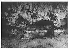 Image result for Diamond White 1986 Preseli District Council