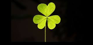 Personalise yours for unique items. Why You Shouldn T Use The Four Leaf Clover Emoji Today Abc News