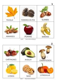 Fruits Et Legumes D Automne Et D Hiver Legumes Automne Images Fruits Et Legumes Fruits Et Legumes