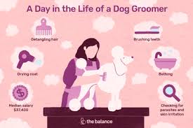 Pet Sitter Job Description Salary Skills More Dog Groomers Groomer Pet Sitters